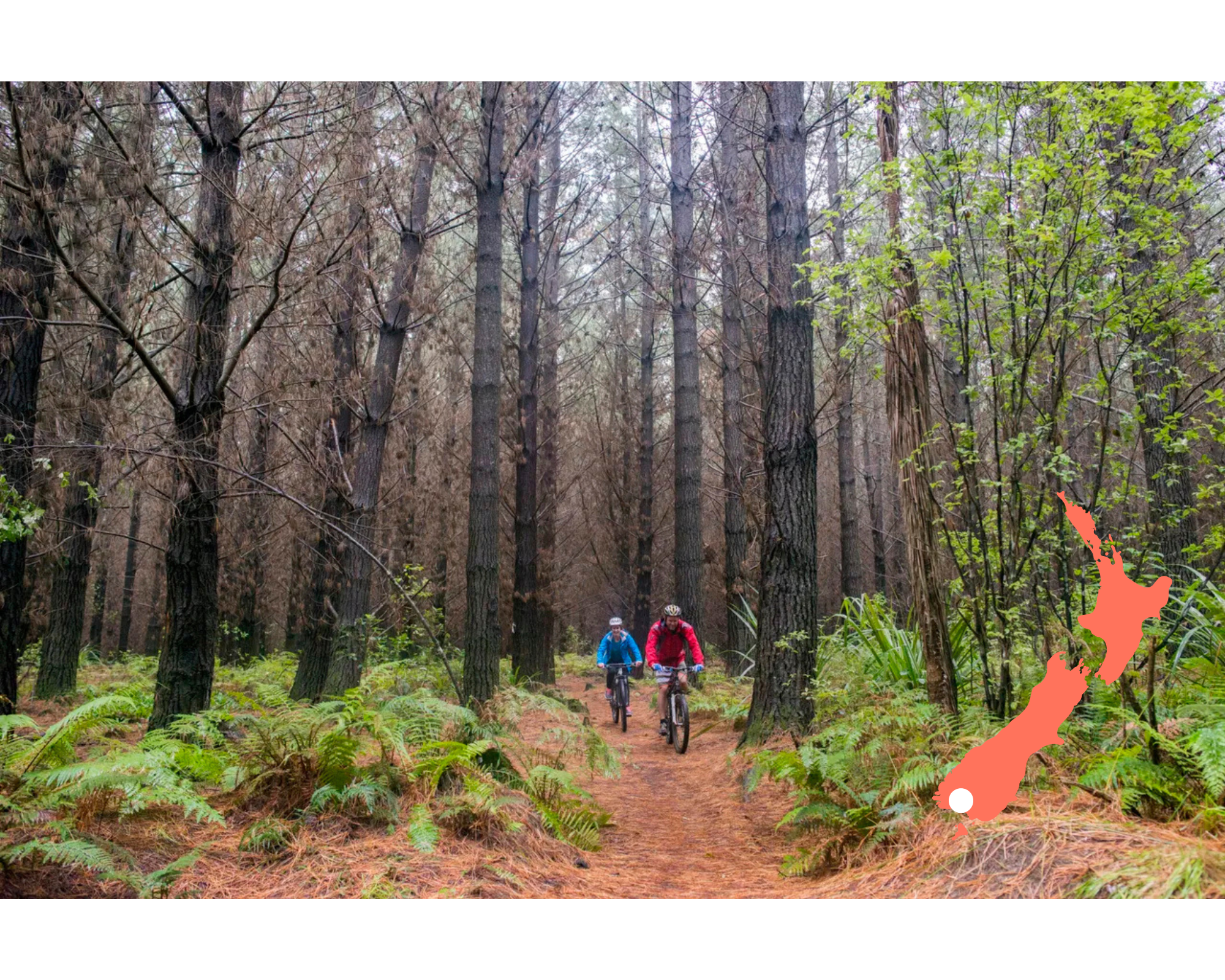 Invercargill mountain biking